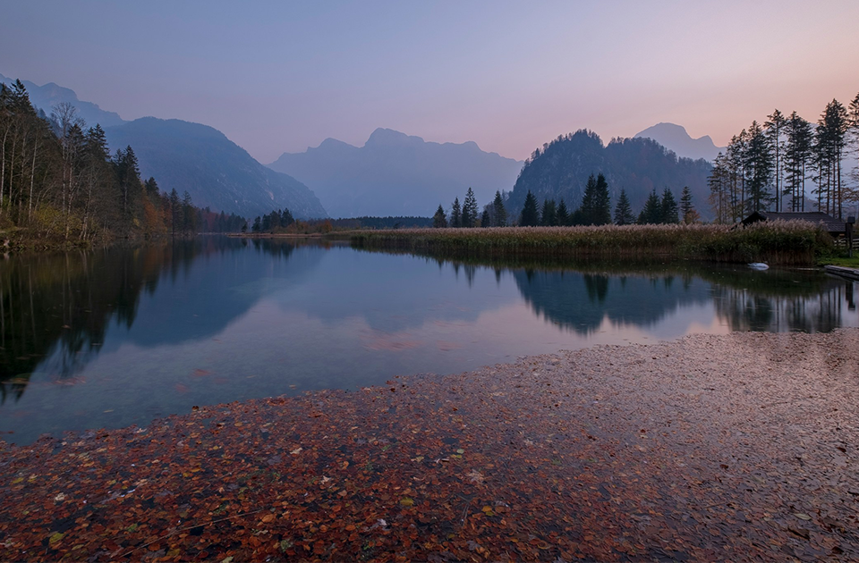 Image de présentation