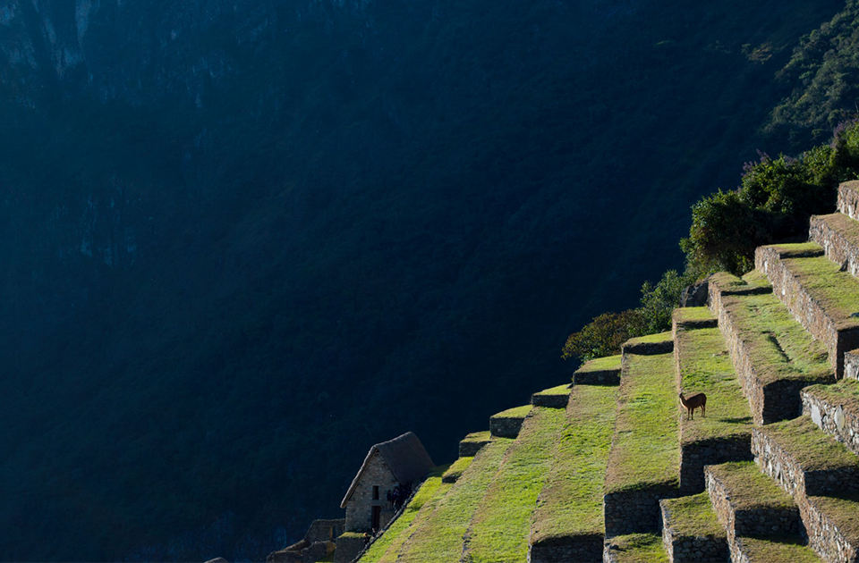 Image de présentation