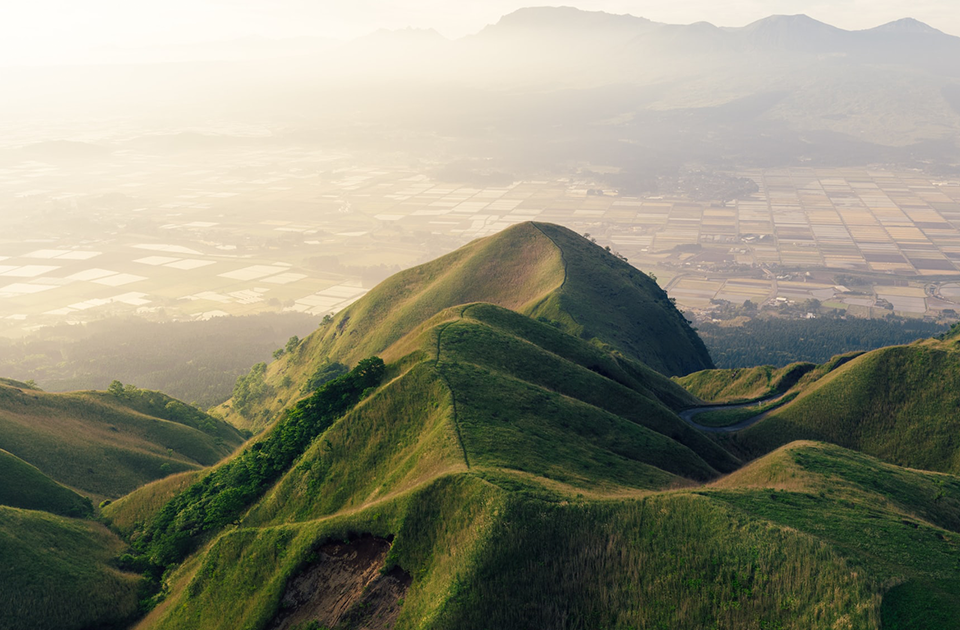 Image de présentation