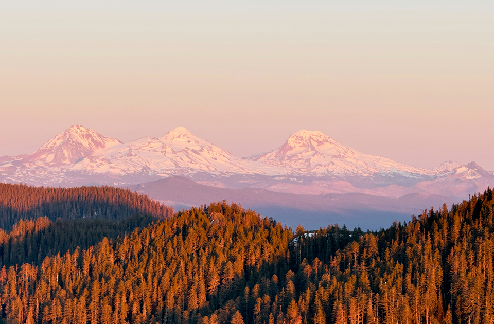 Image de présentation