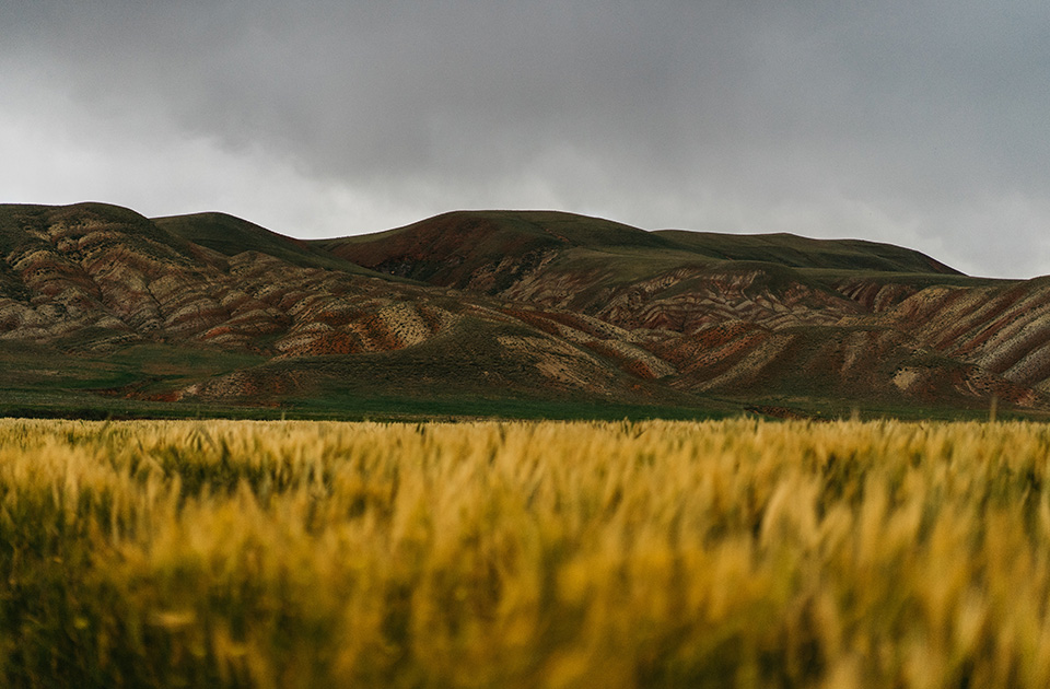 Image de présentation