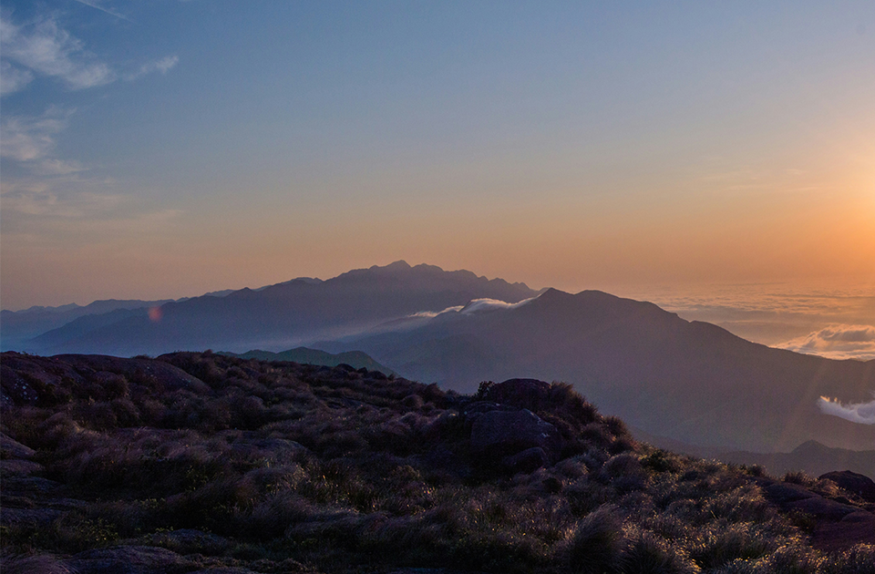 Image de présentation