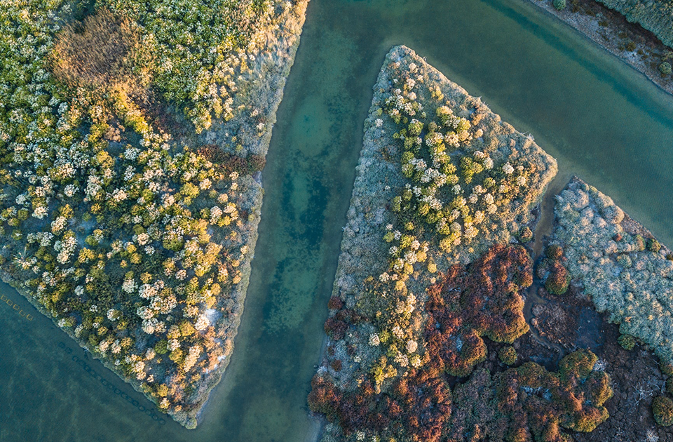 Image de présentation