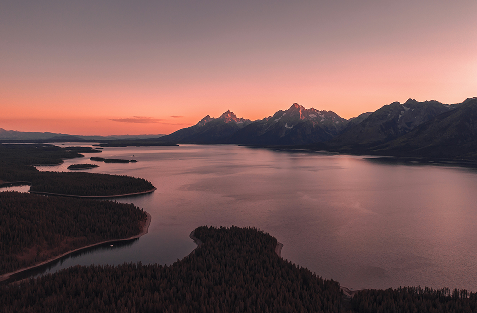 Image de présentation