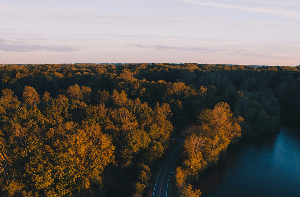 Image de présentation