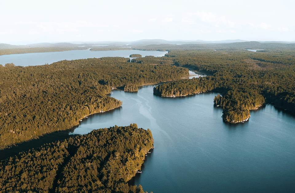 Image de présentation