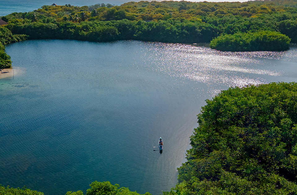 Image de présentation